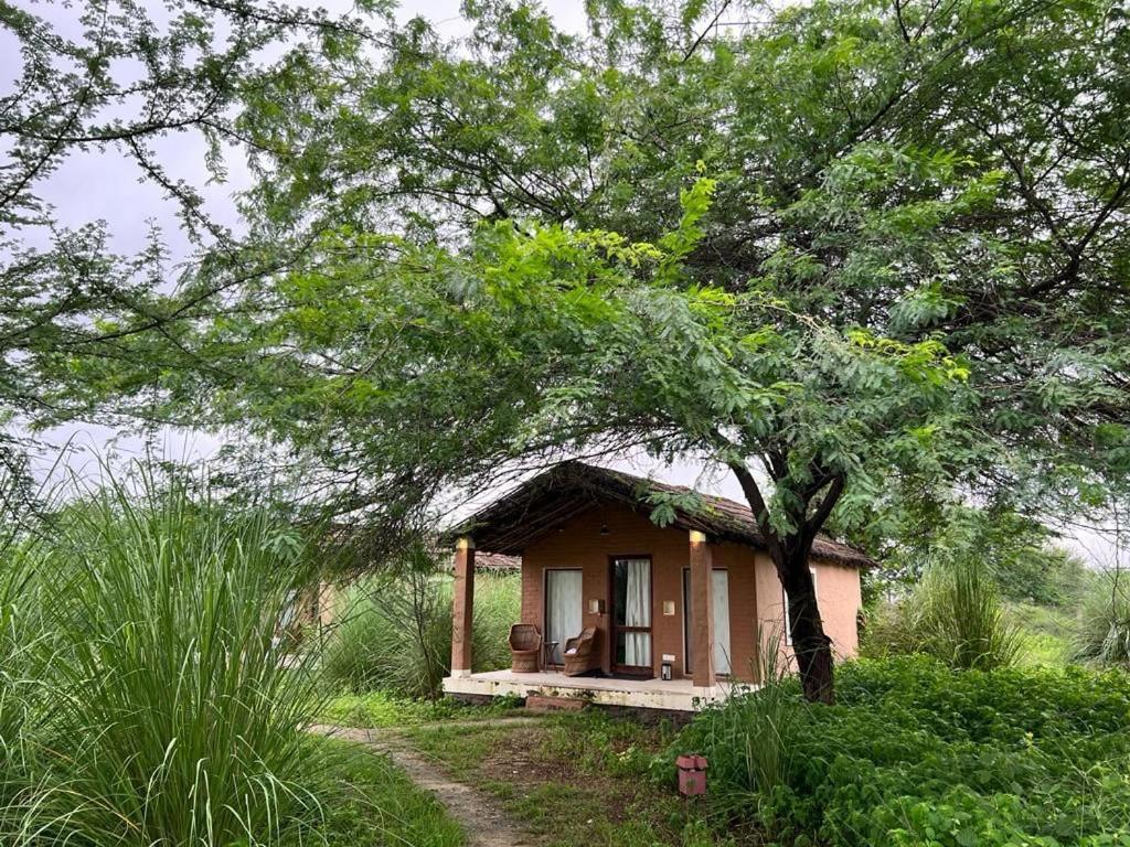 Camp Lands End Hotel Pushkar Eksteriør billede